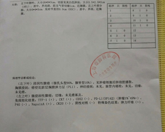 求助，肺癌，有懂的吗？